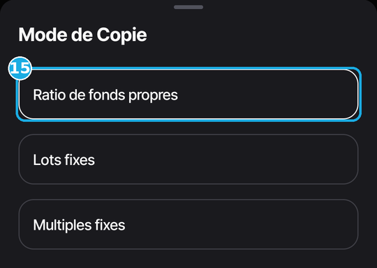 List of Vantage copy modes, in French: 15, Equity Ratio.