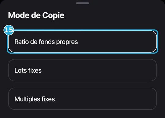 Lista de modos de copia de Vantage, en francés: 15, Equity Ratio.